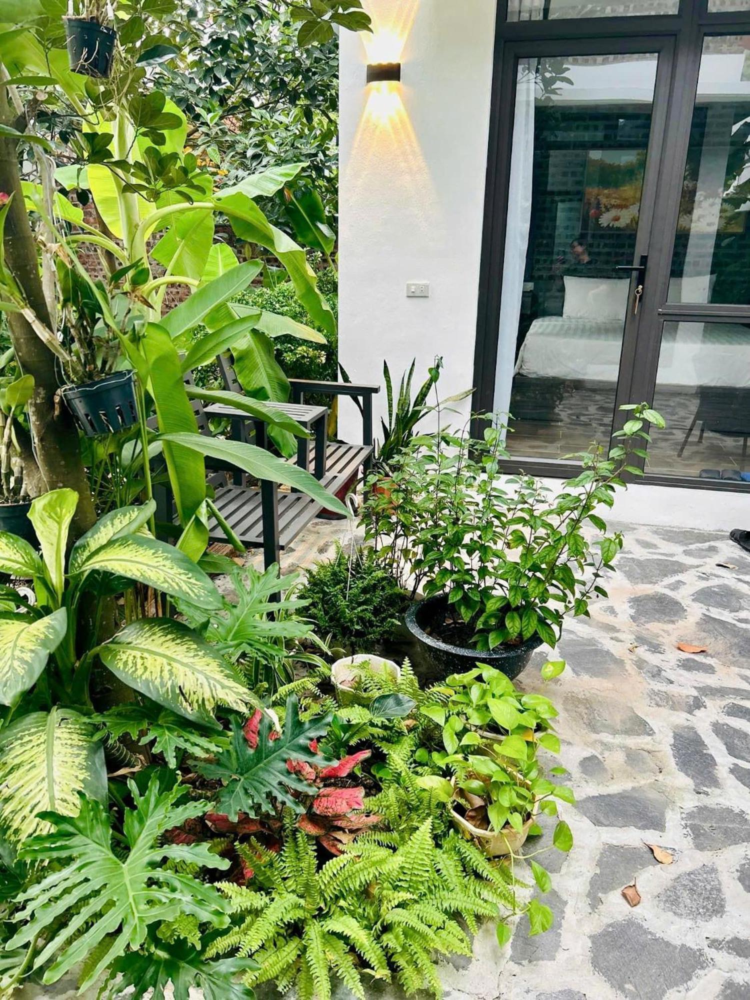 Tam Coc Boutique Garden Ξενοδοχείο Νιν Μπιν Εξωτερικό φωτογραφία