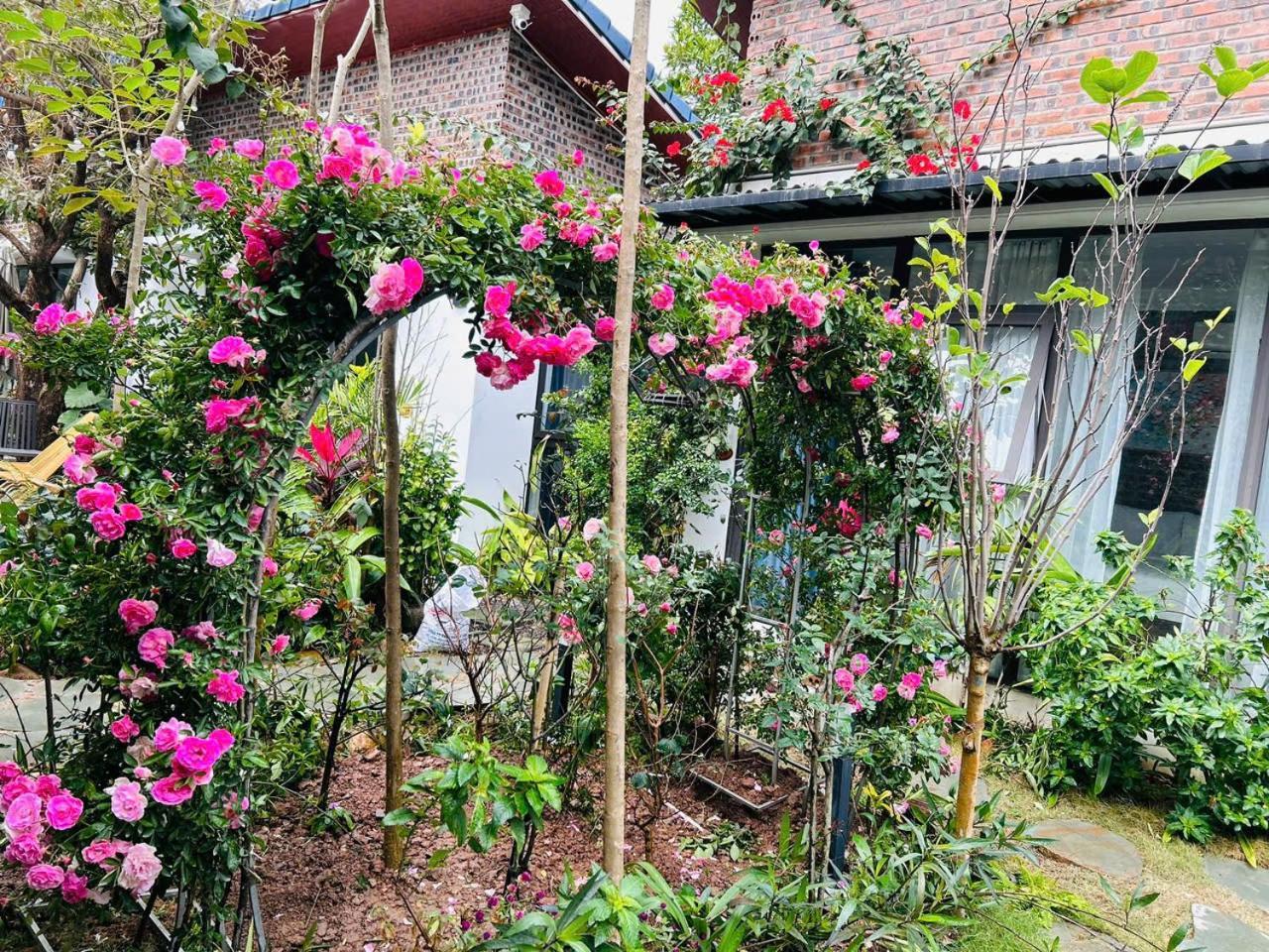 Tam Coc Boutique Garden Ξενοδοχείο Νιν Μπιν Εξωτερικό φωτογραφία